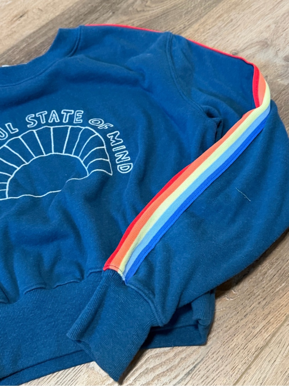 Spiritual Gangster Navy Crewneck Sweatshirt with Rainbow Stripe Detail - Picture 5 of 6